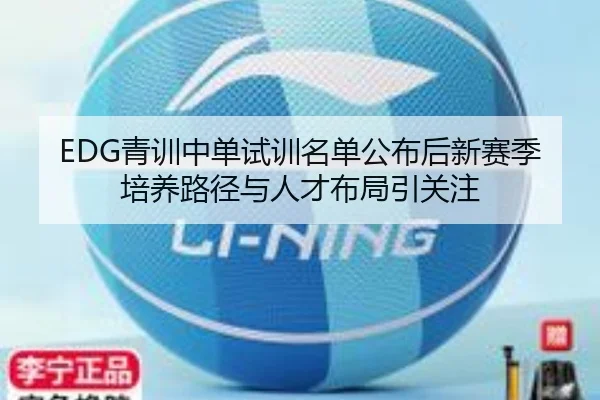 EDG青训中单试训名单公布后新赛季培养路径与人才布局引关注